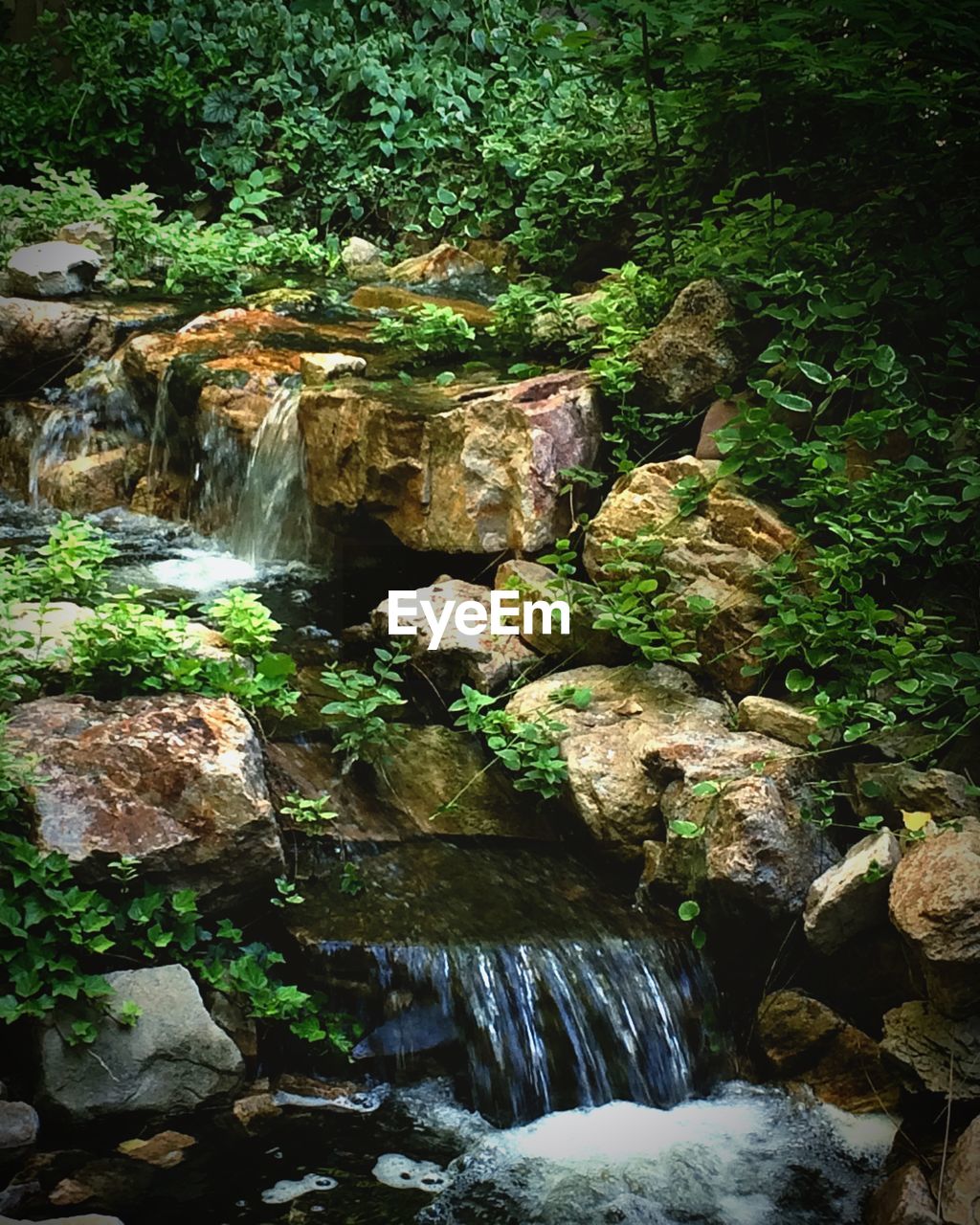 STREAM FLOWING THROUGH ROCKS IN FOREST