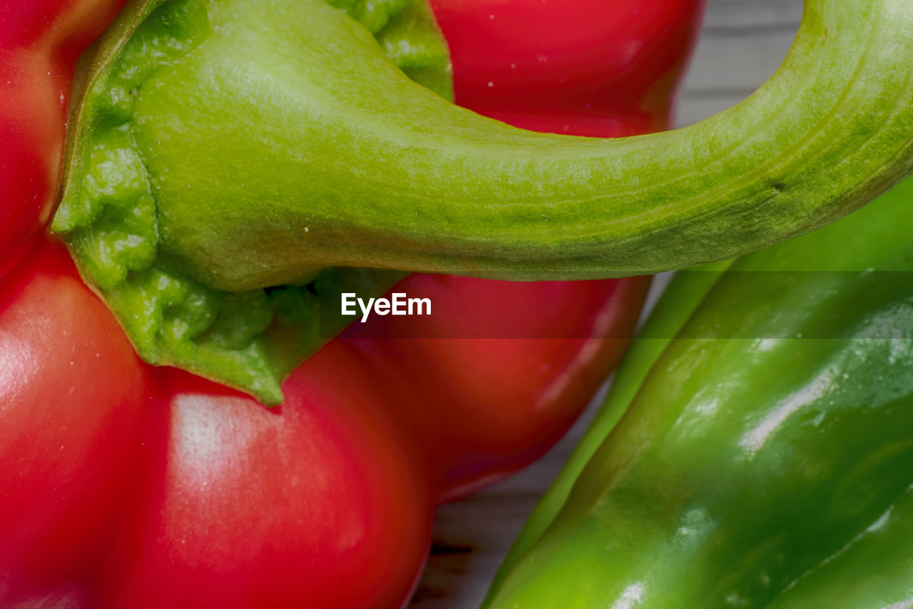 CLOSE-UP OF RED CHILI PEPPERS