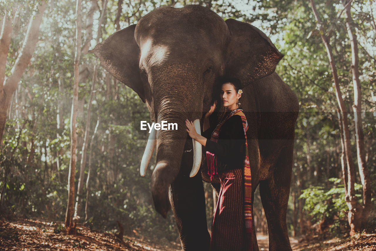 Portrait of smiling woman standing with elephant in forest