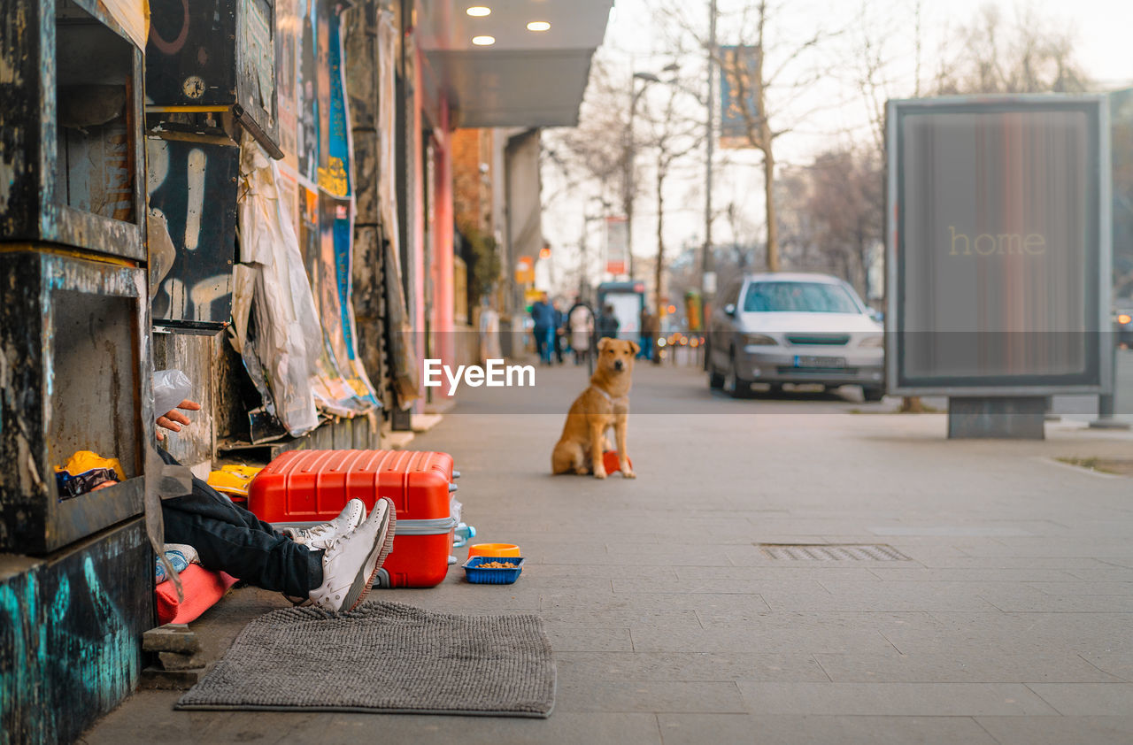 Homeless person on city street