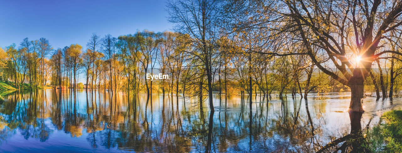 SCENIC VIEW OF LAKE BY TREES AGAINST SKY