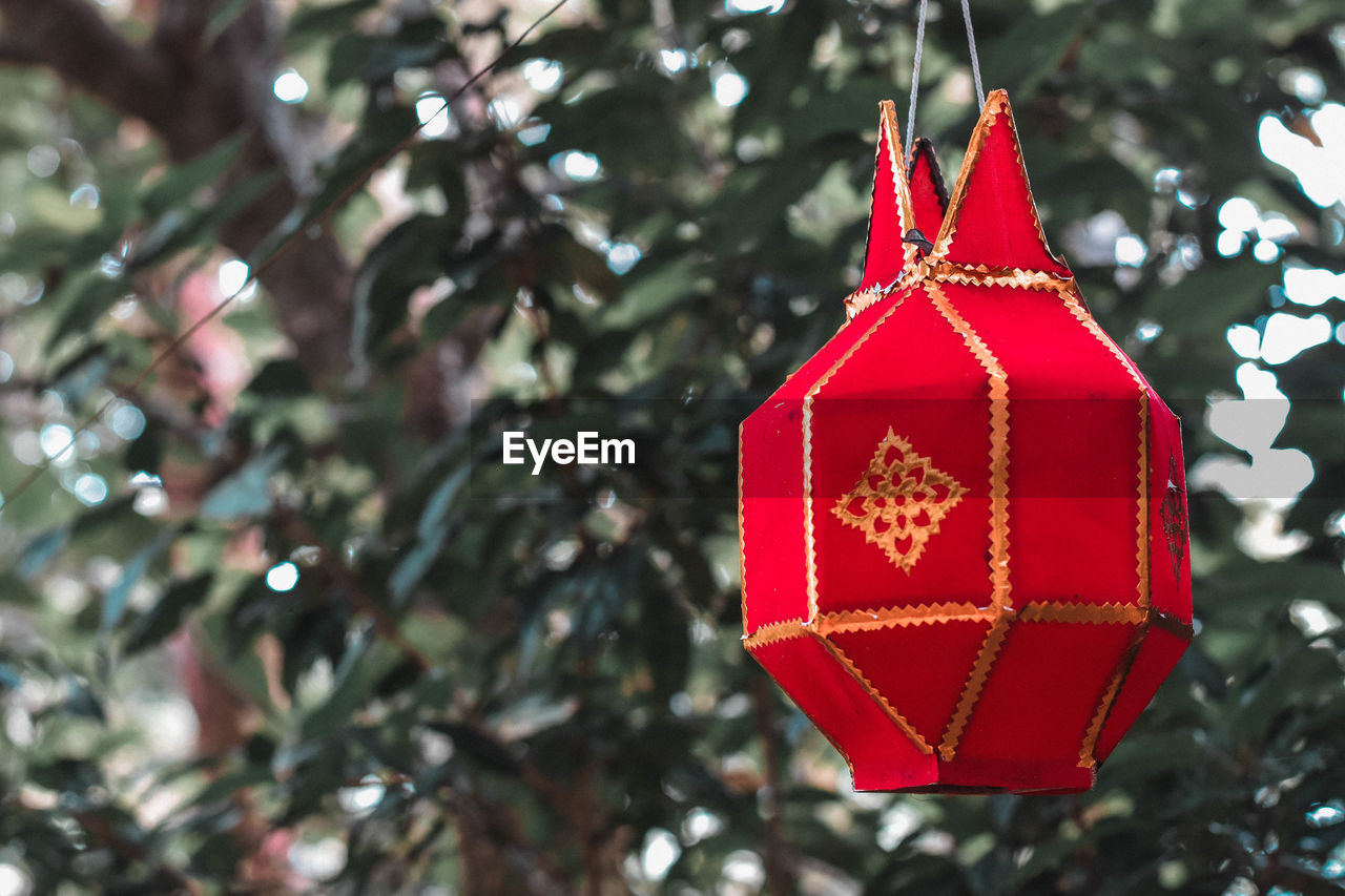 CLOSE-UP OF RED CHRISTMAS DECORATION HANGING ON TREE AT NIGHT