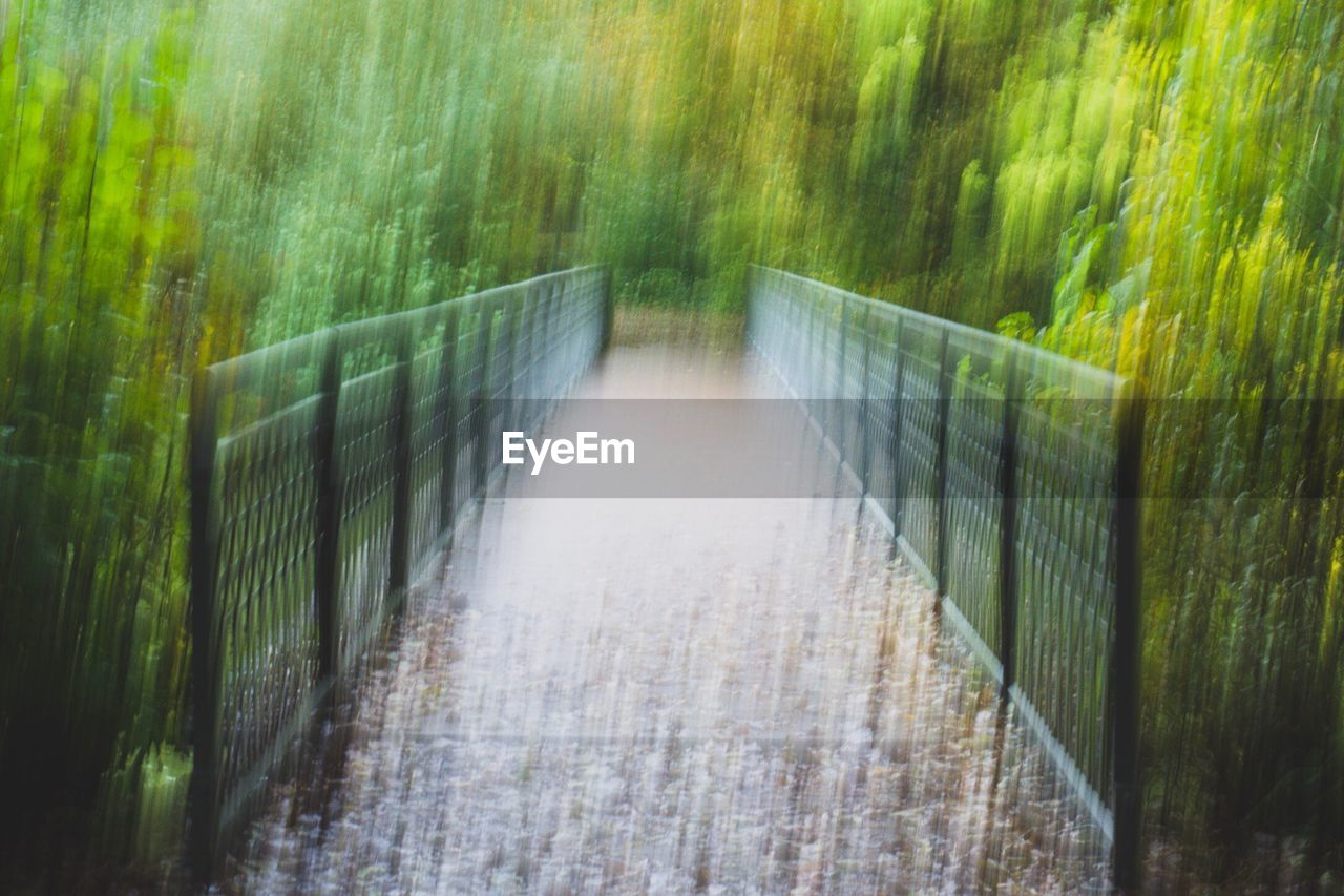 NARROW FOOTBRIDGE IN FOREST