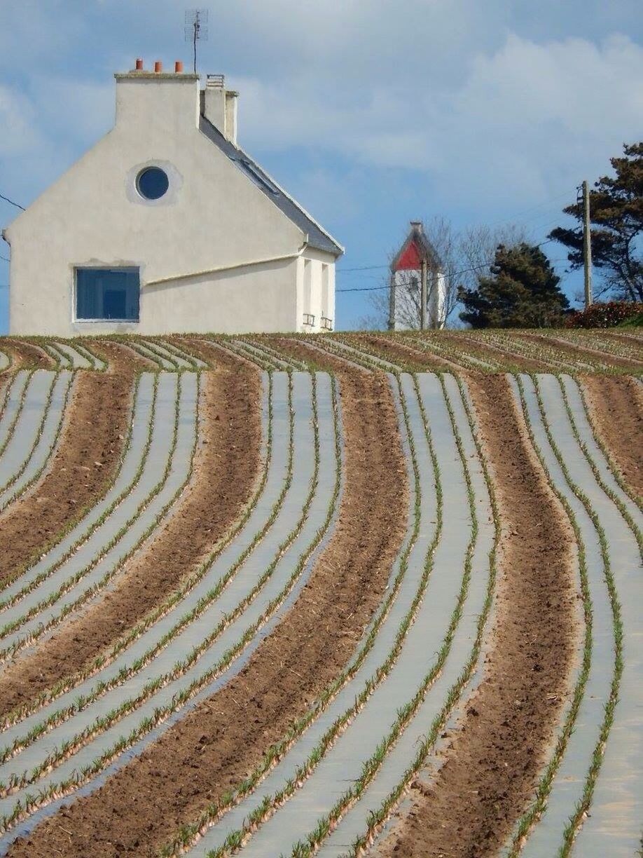 House on agricultural field against sky