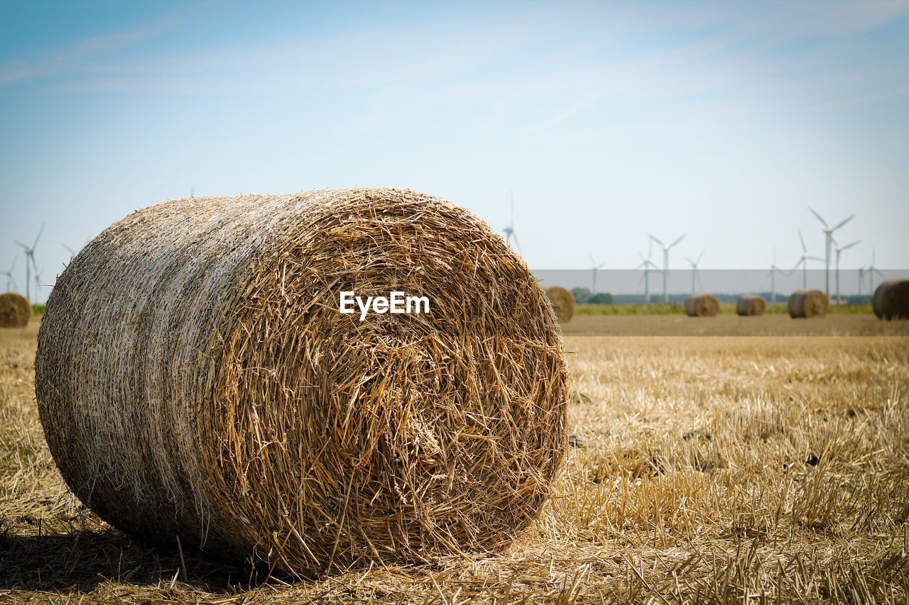 Hay bales on field against clear sky