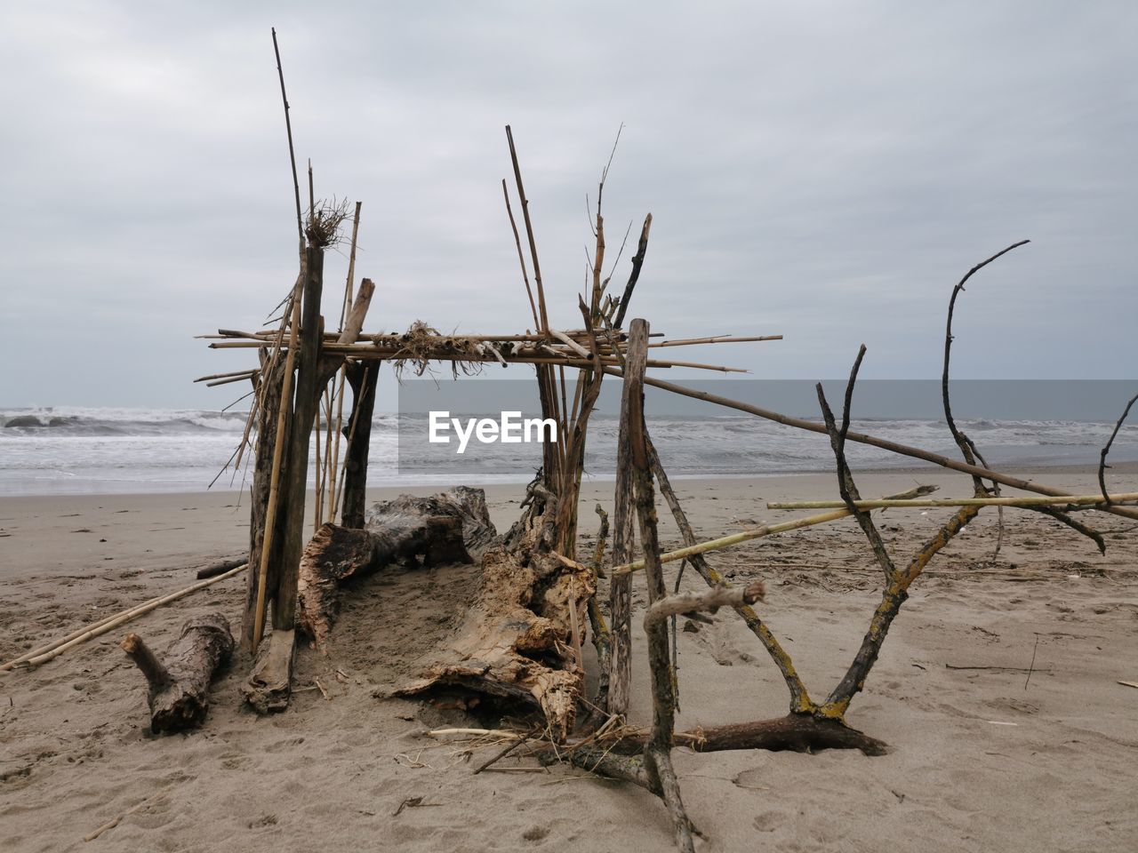 land, water, beach, sea, nature, sand, shore, sky, coast, no people, cloud, scenics - nature, wood, ocean, body of water, tranquility, environment, wind, natural environment, driftwood, beauty in nature, outdoors, day, landscape, tranquil scene, plant, non-urban scene, horizon, coastline