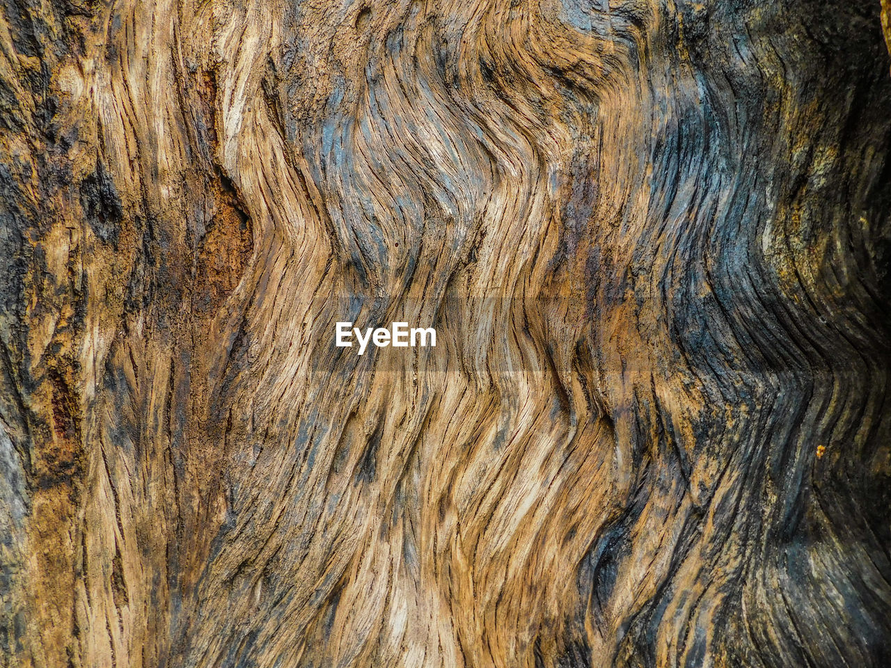 FULL FRAME SHOT OF TREE BARK