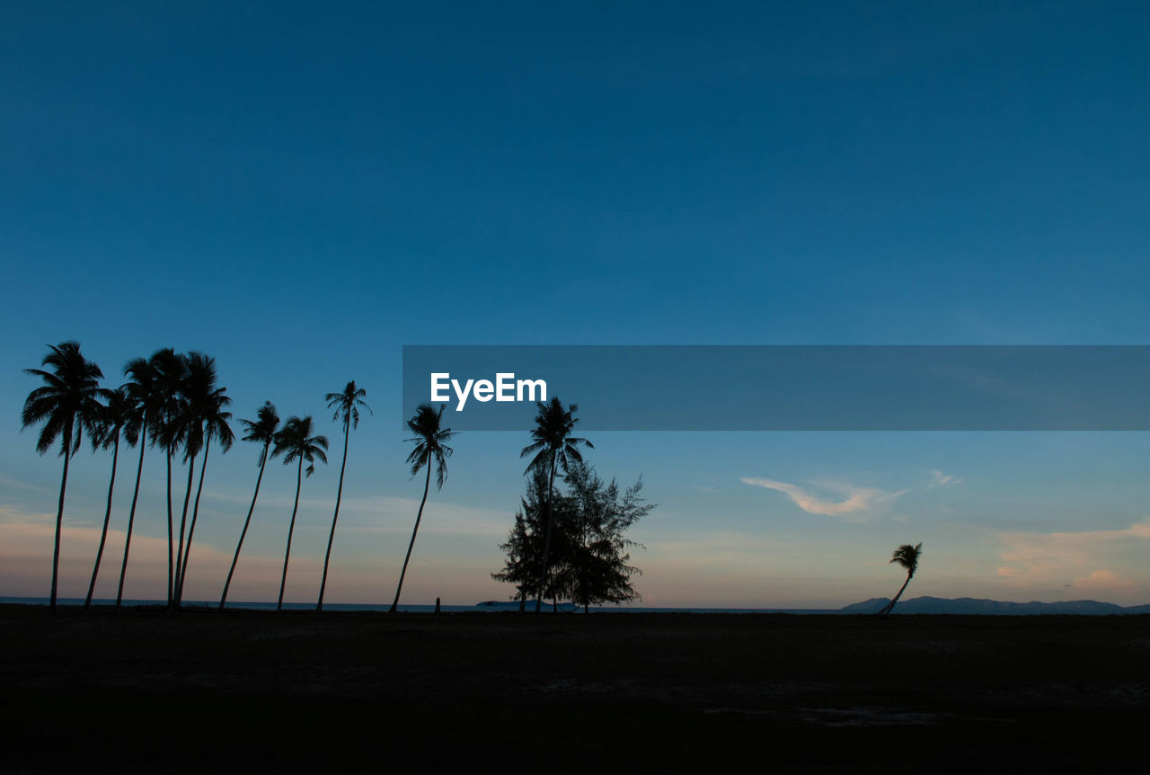 SILHOUETTE TREES ON BEACH AGAINST SKY DURING SUNSET