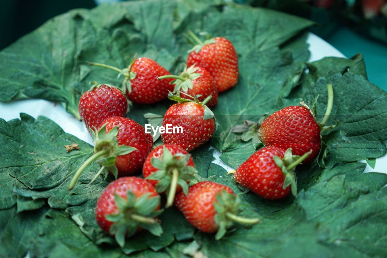 Close-up of strawberries