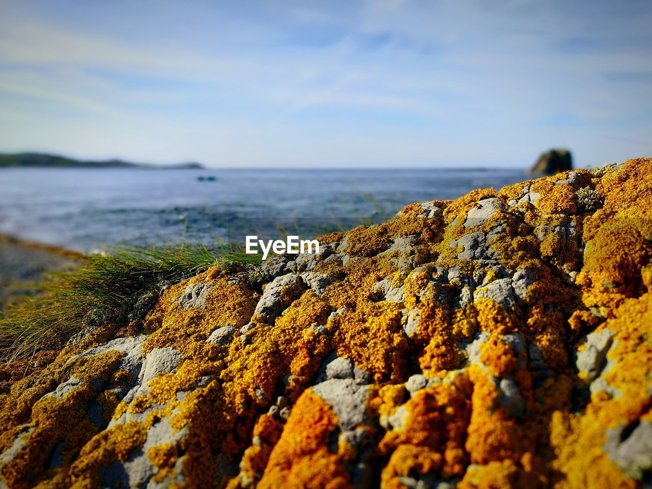 Close-up of rock by sea against sky