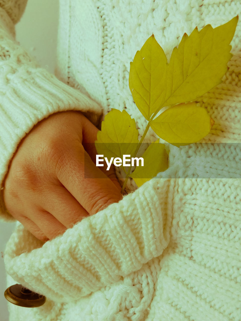Close-up of woman keeping leaf in sweater