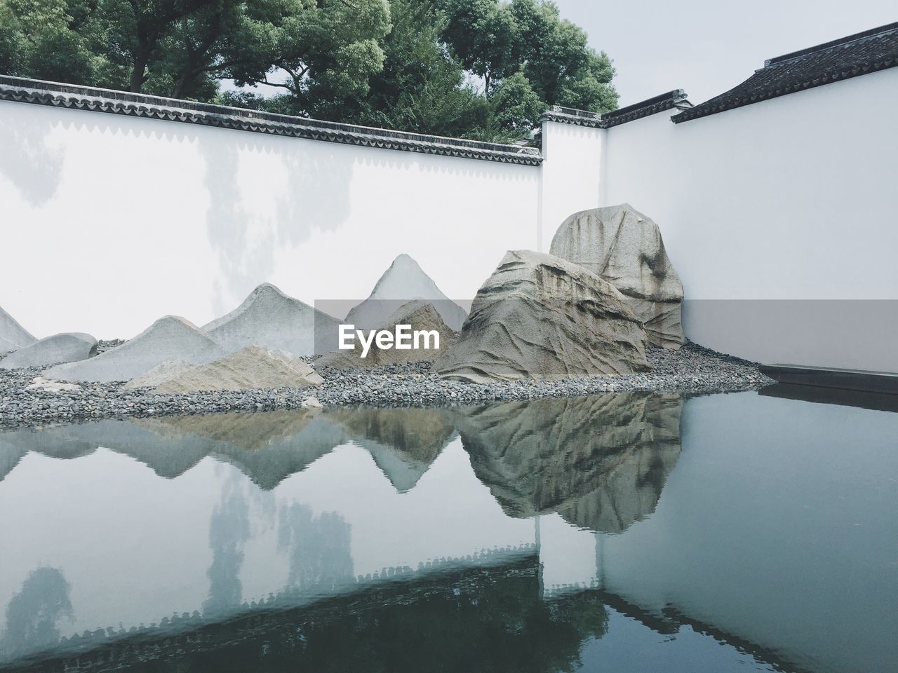 Reflection of trees in water