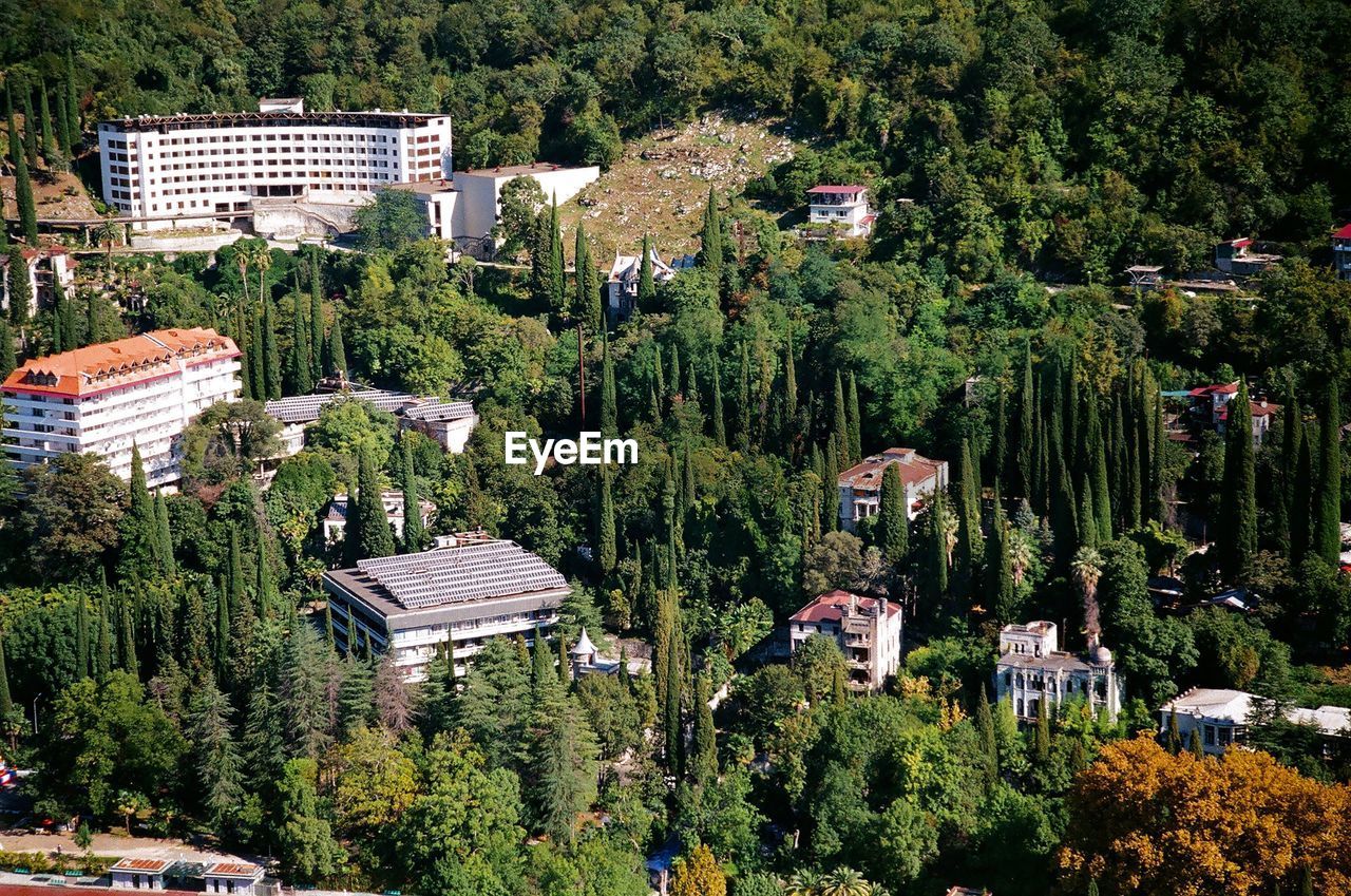 HOUSES IN TOWN AGAINST TREES IN CITY