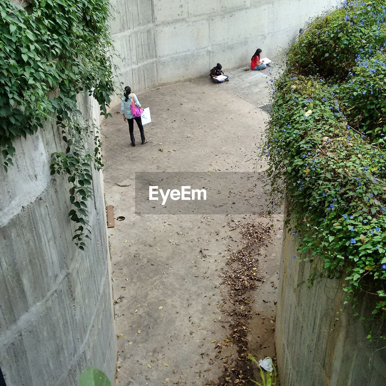 HIGH ANGLE VIEW OF BLURRED WALKING ON ZEBRA