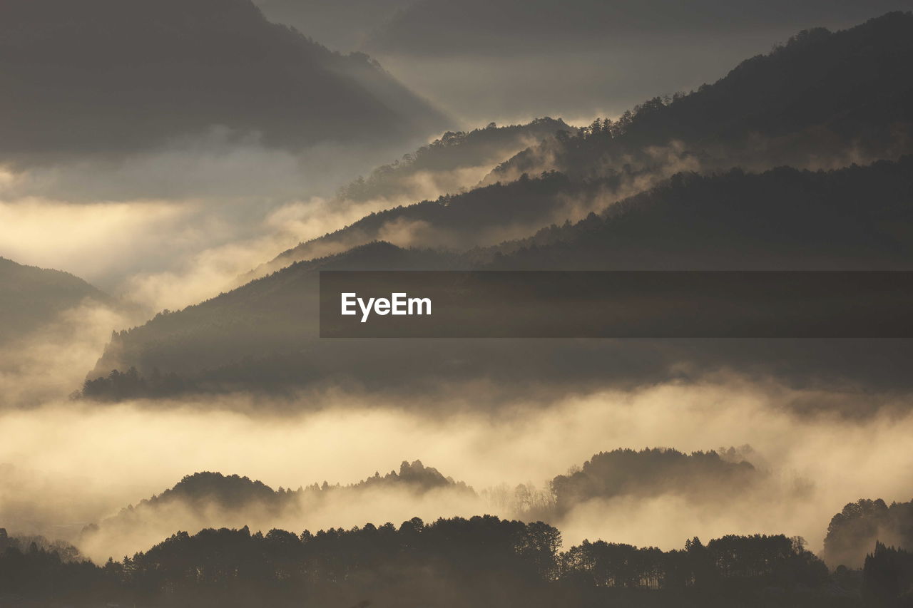 Scenic view of cloudscape over forest