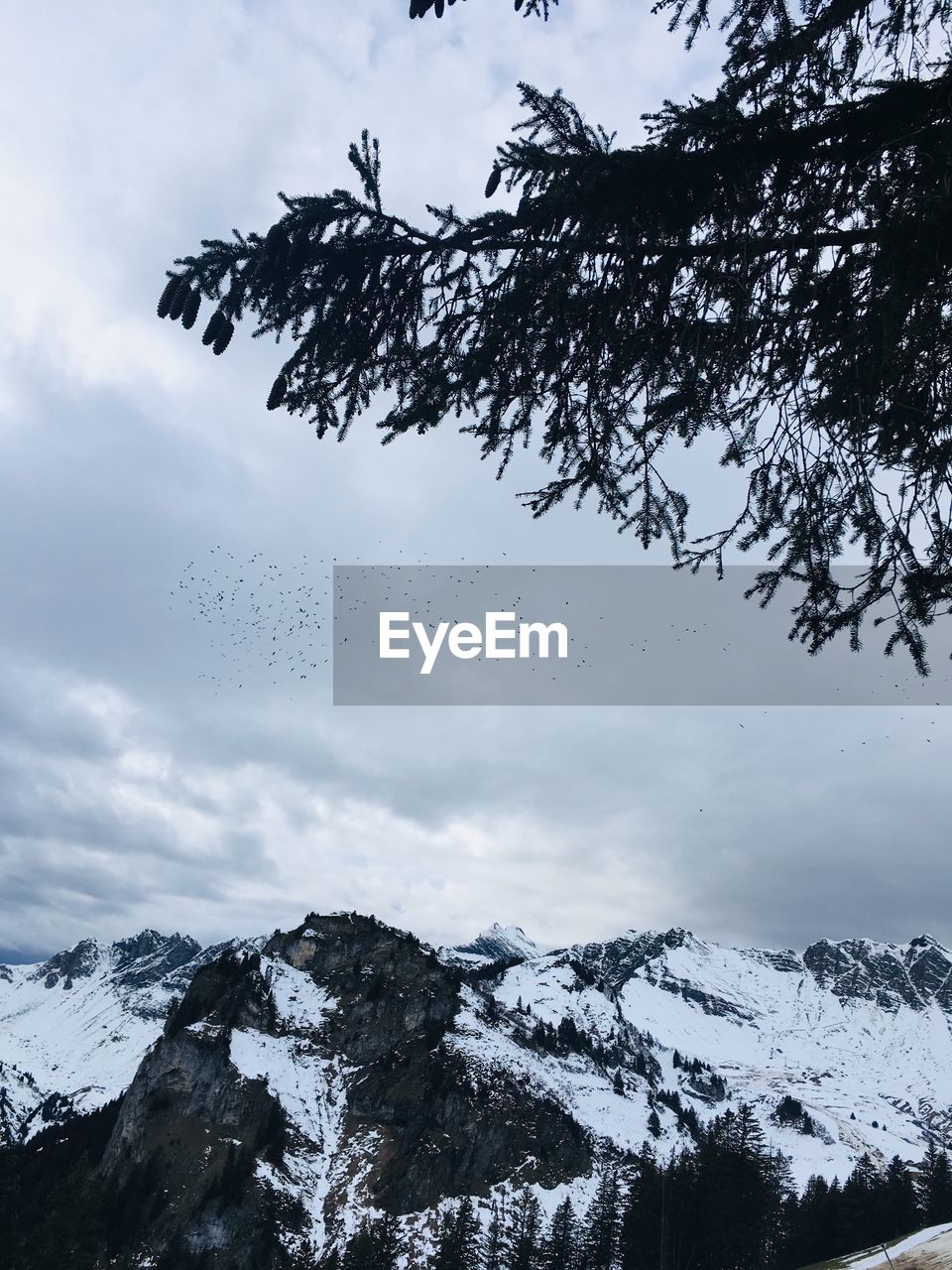 LOW ANGLE VIEW OF SNOW COVERED MOUNTAINS AGAINST SKY