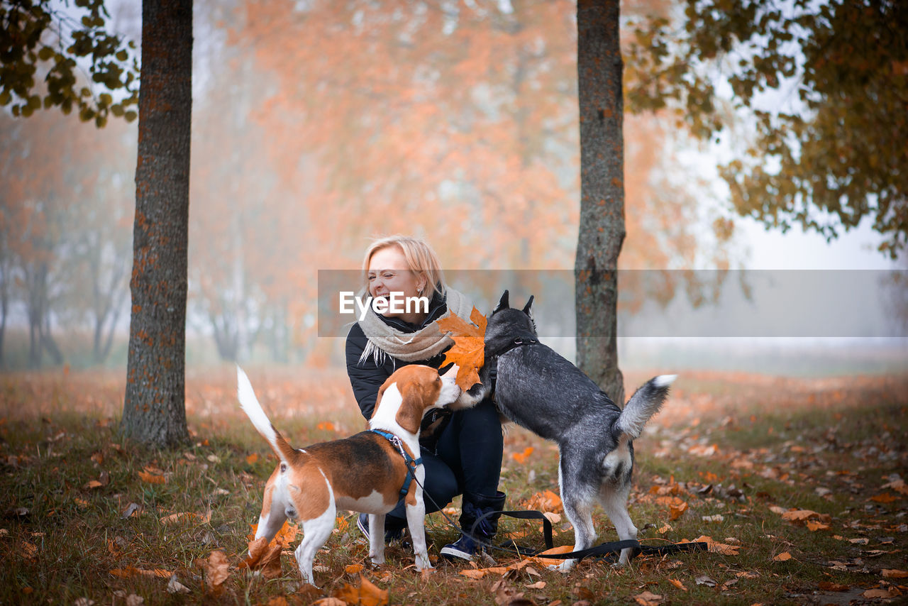 Playful woman with dogs during autumn