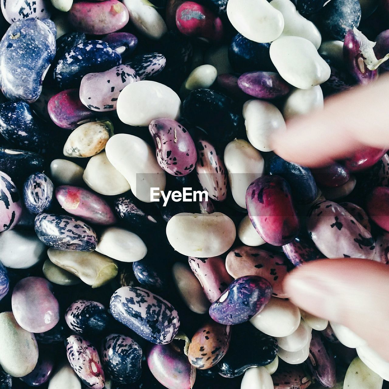 High angle view of pebbles