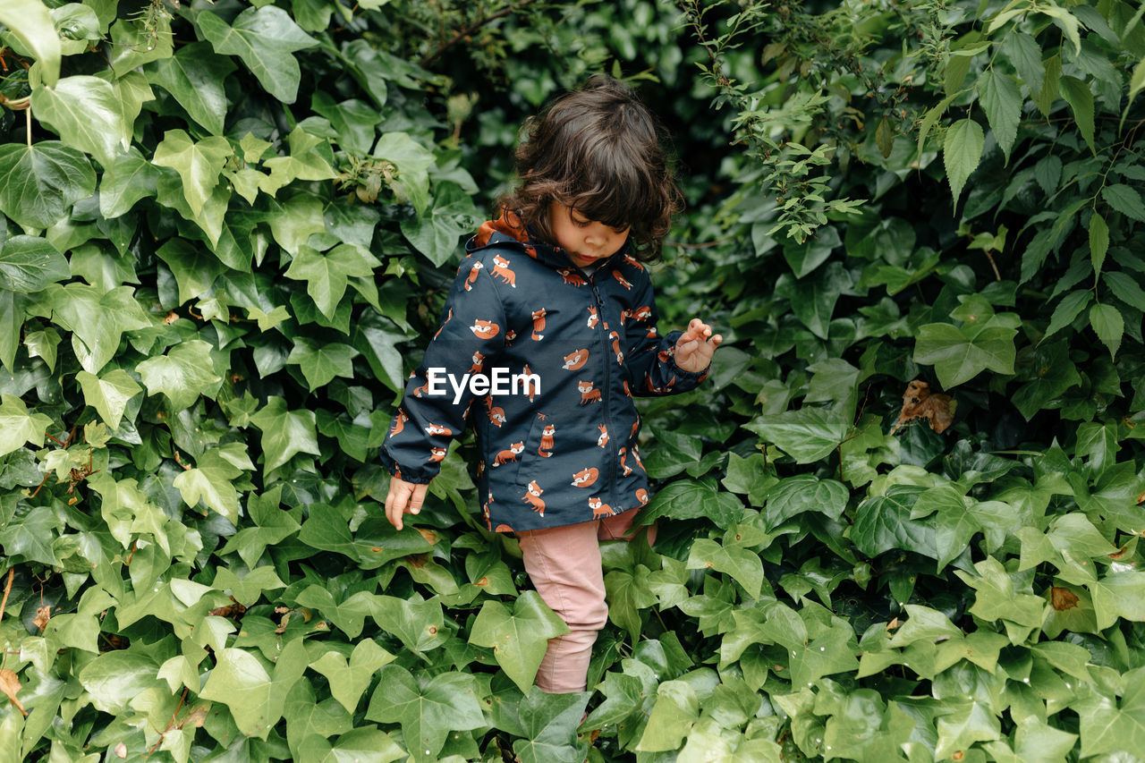 Full length of child standing amidst plants