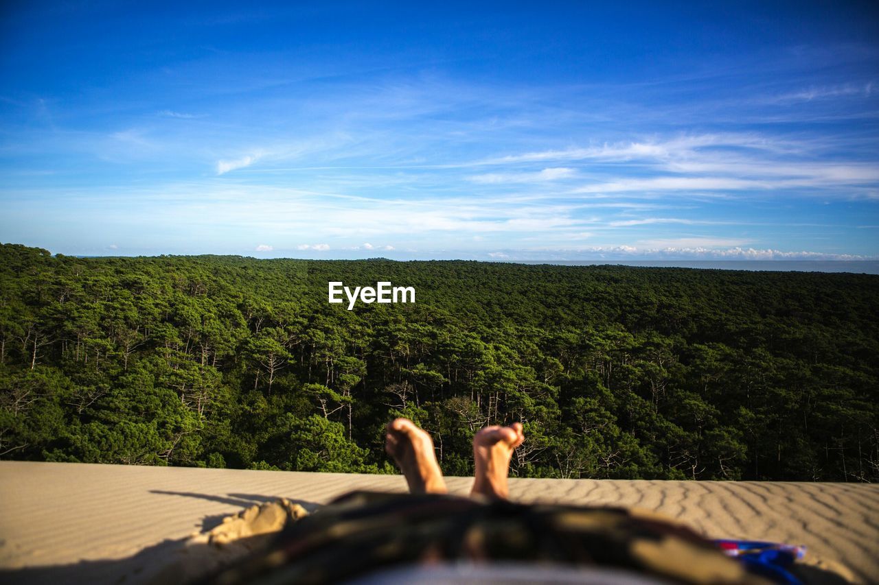 Low section of person lying against trees on landscape