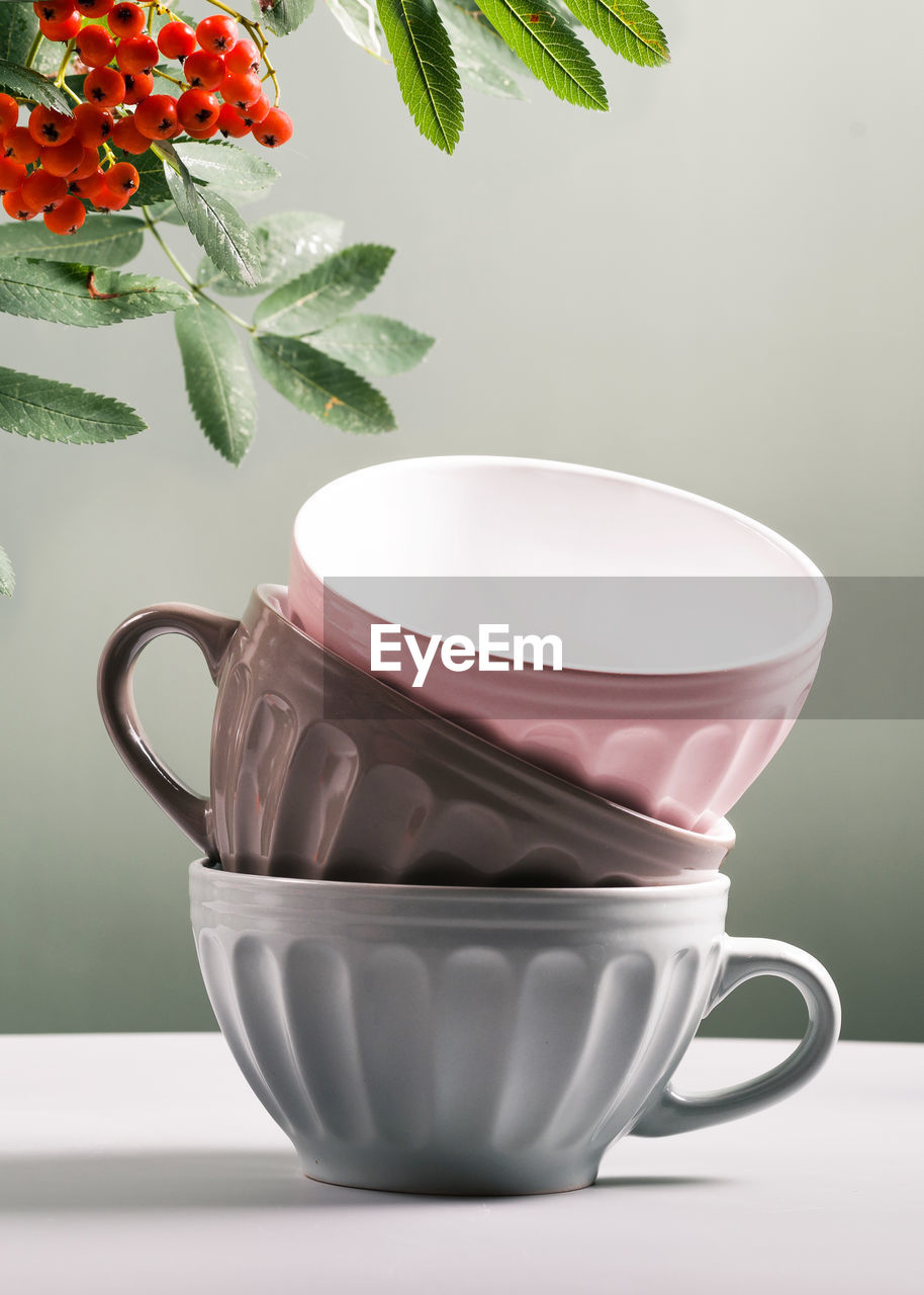 Three cute empty ceramic coffee cups pastel colors and rowan branch 