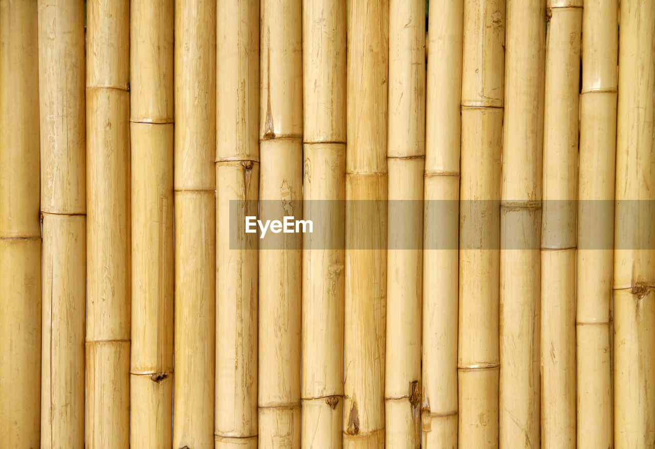 Full frame shot of bamboo