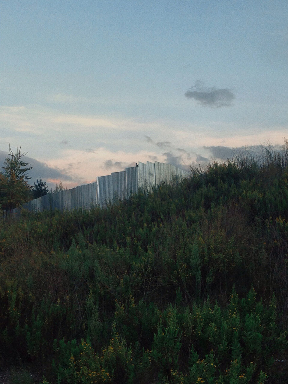 Corrugated irons on field against sky