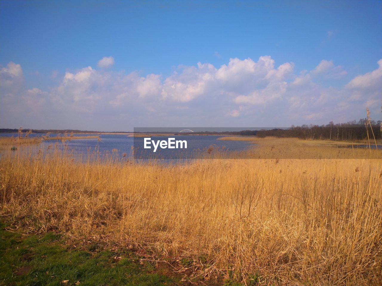 SCENIC VIEW OF LAND ON BEACH AGAINST SKY