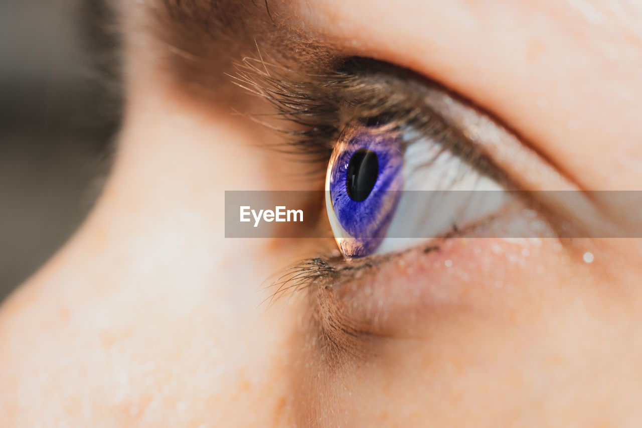 Close-up of human eye