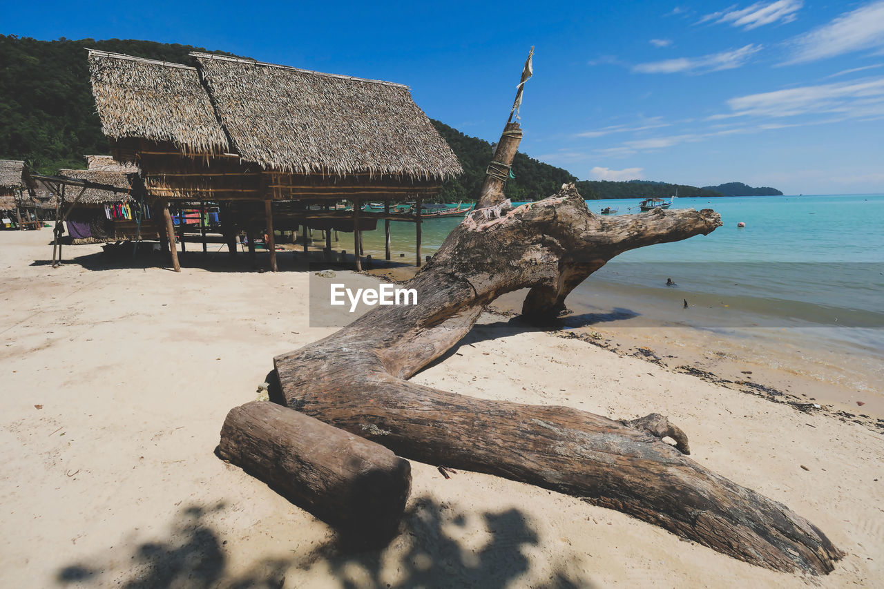 Driftwood on beach against sky