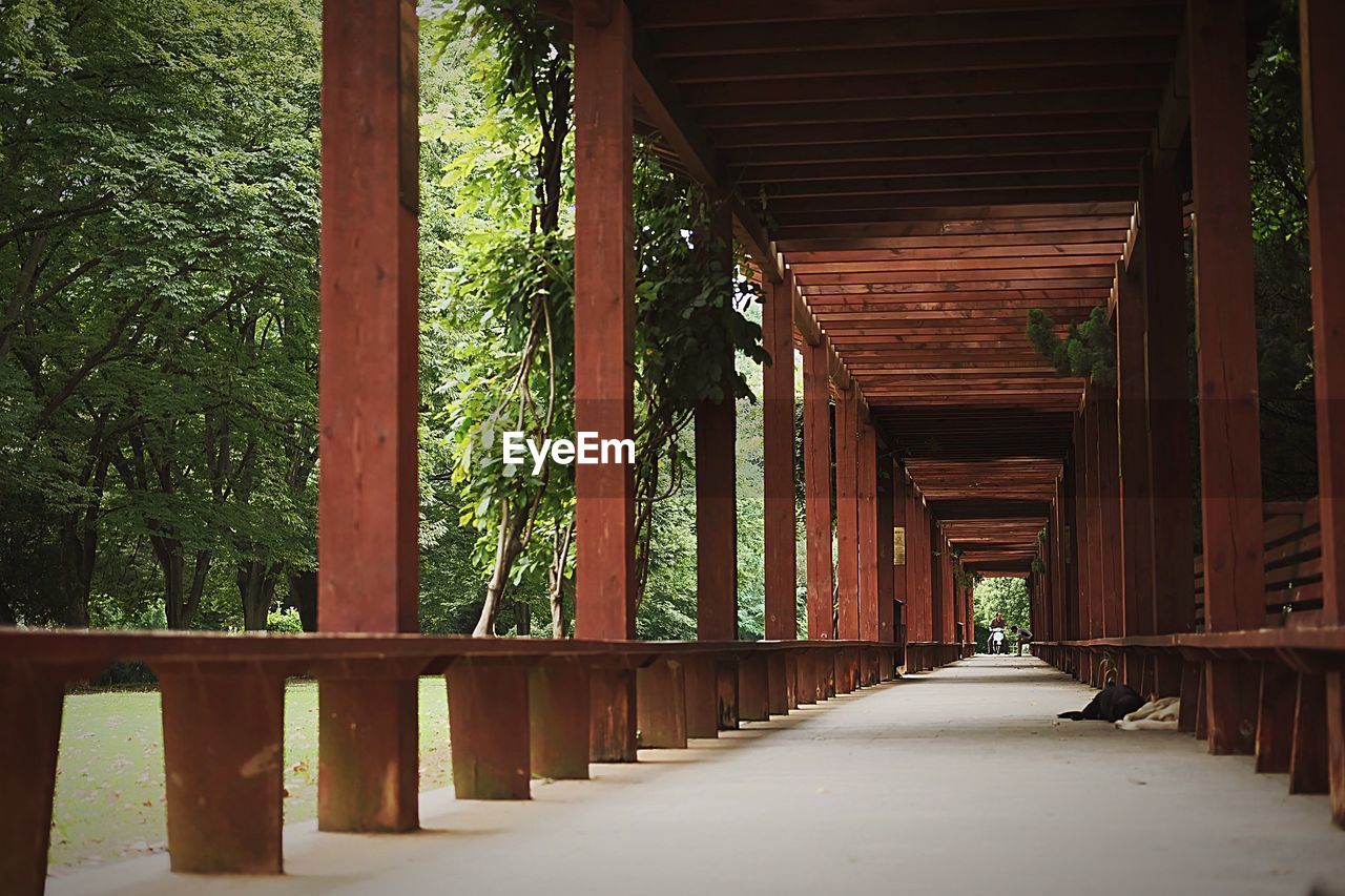 VIEW OF TREES IN CORRIDOR