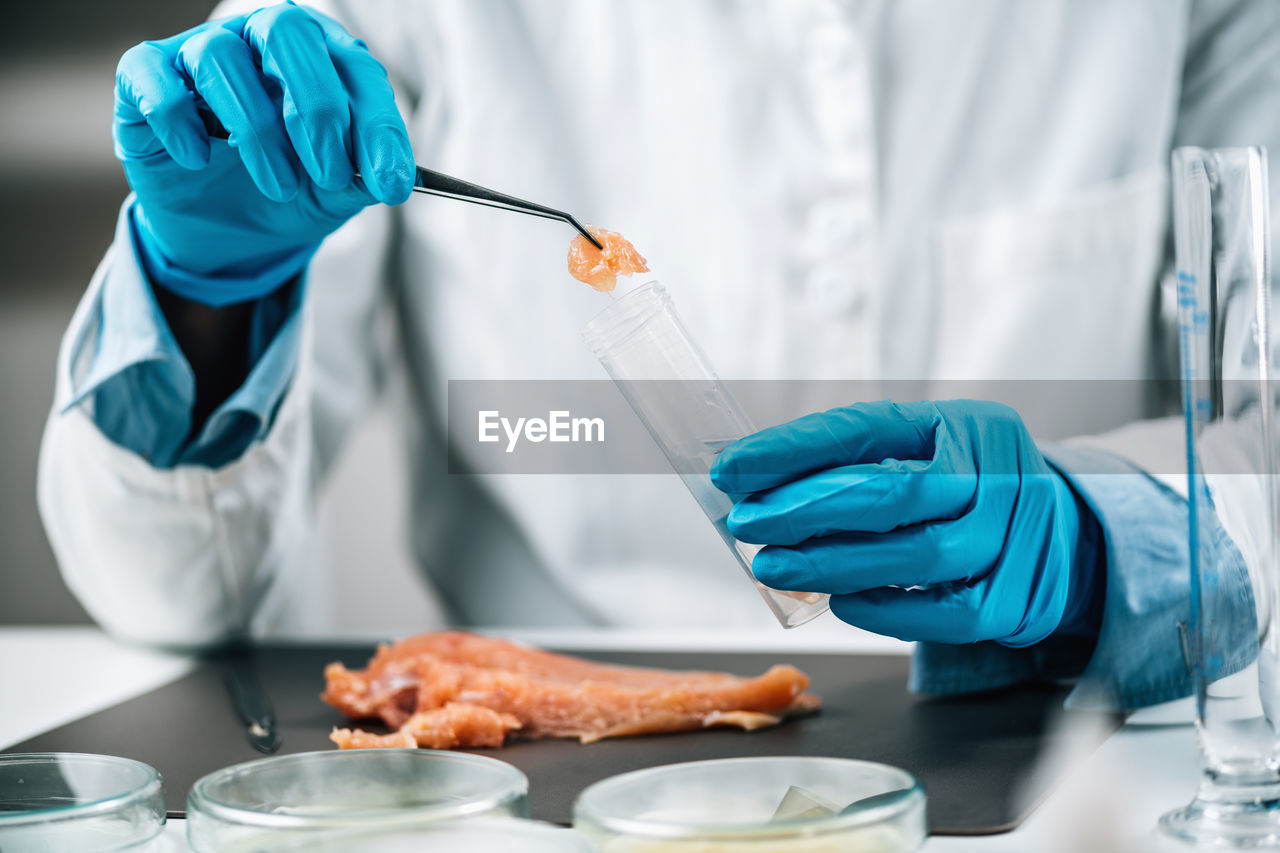 Food safety inspection of raw chicken meat in a laboratory. 