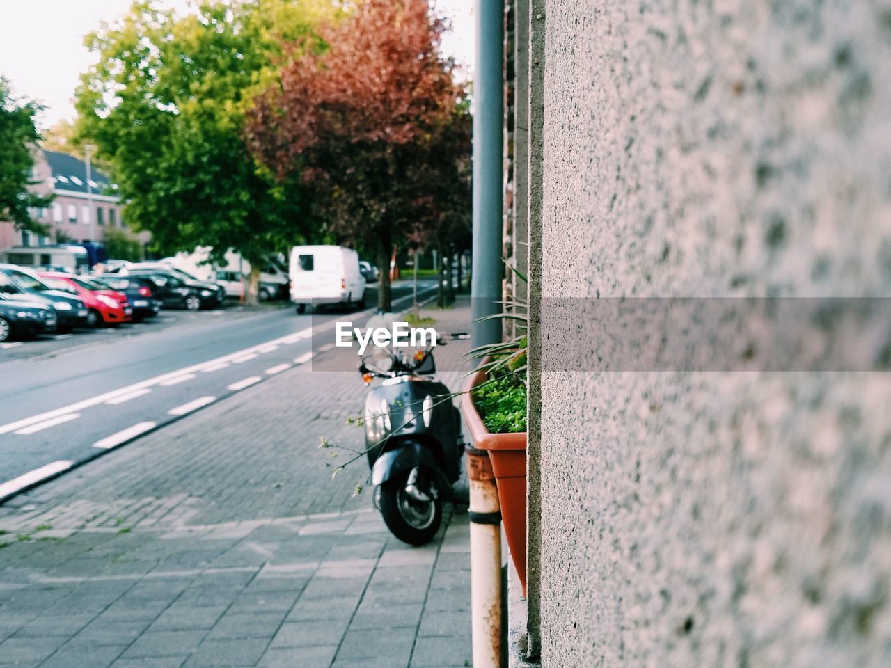 BICYCLE ON STREET