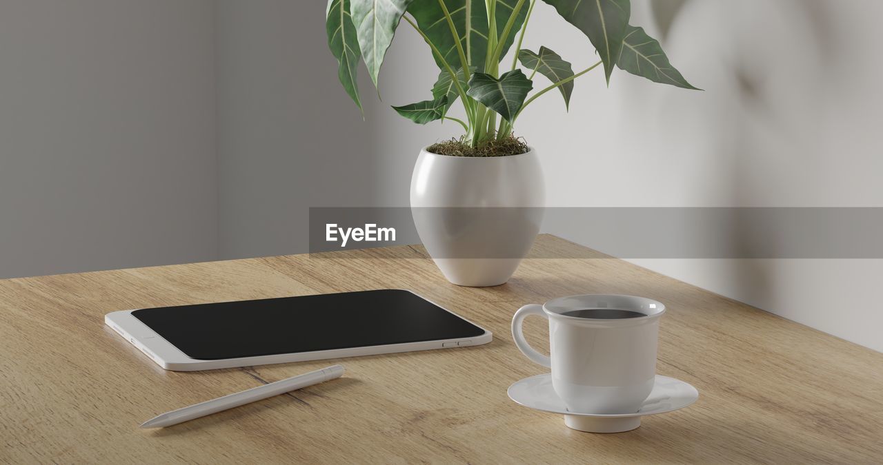 POTTED PLANT ON TABLE