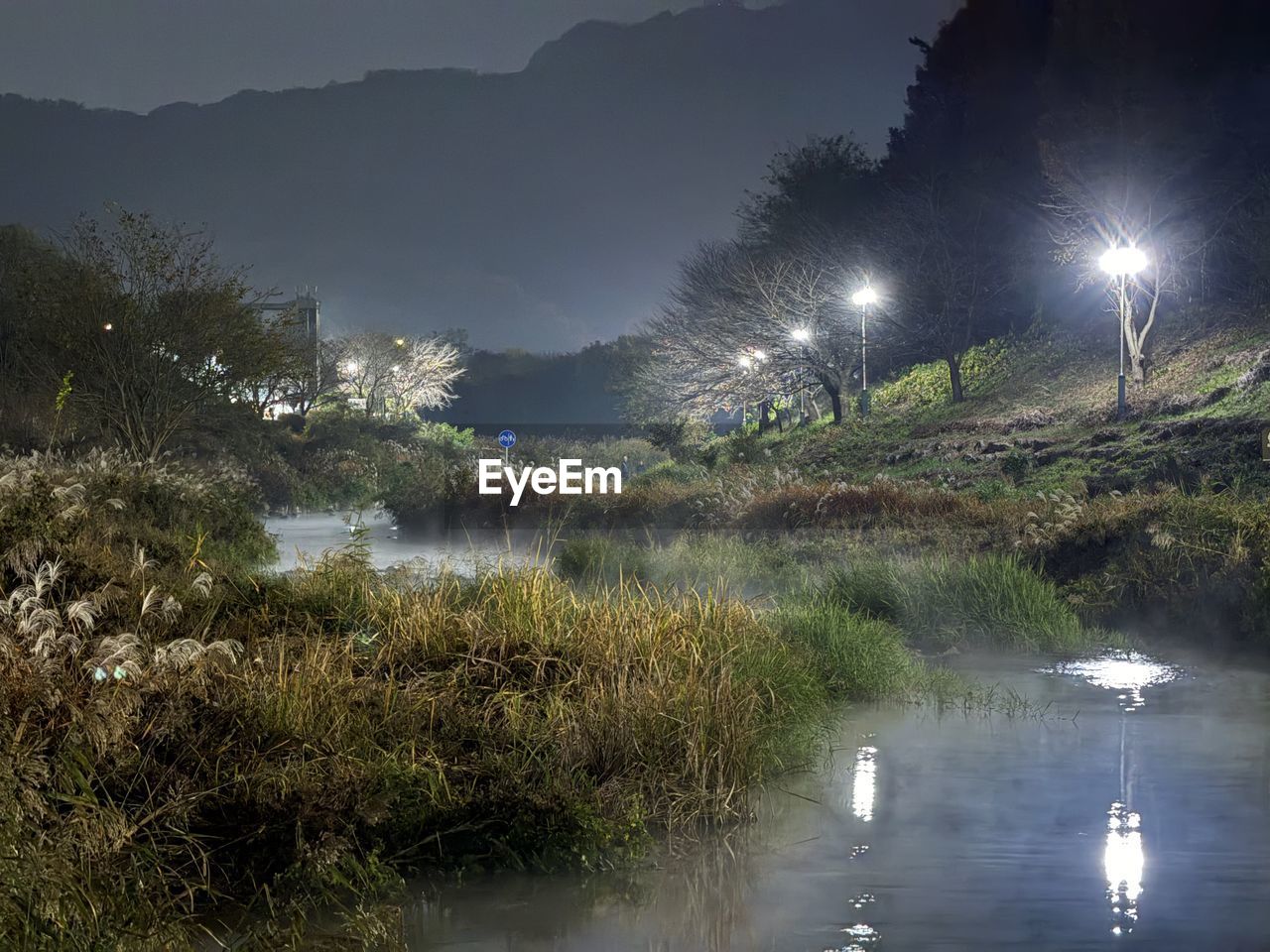 reflection, water, nature, morning, plant, river, environment, landscape, fog, tree, beauty in nature, sky, scenics - nature, night, tranquility, no people, mist, land, mountain, travel, travel destinations, outdoors, forest, grass, tranquil scene, animal, animal wildlife, social issues, tourism, animal themes, twilight, wilderness