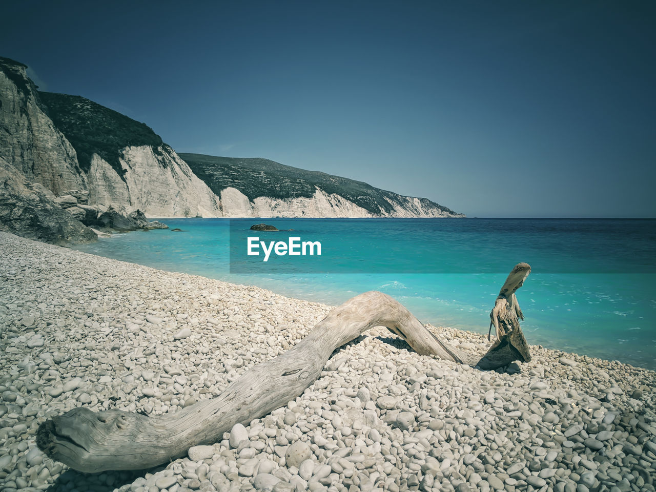 Wood on the beach