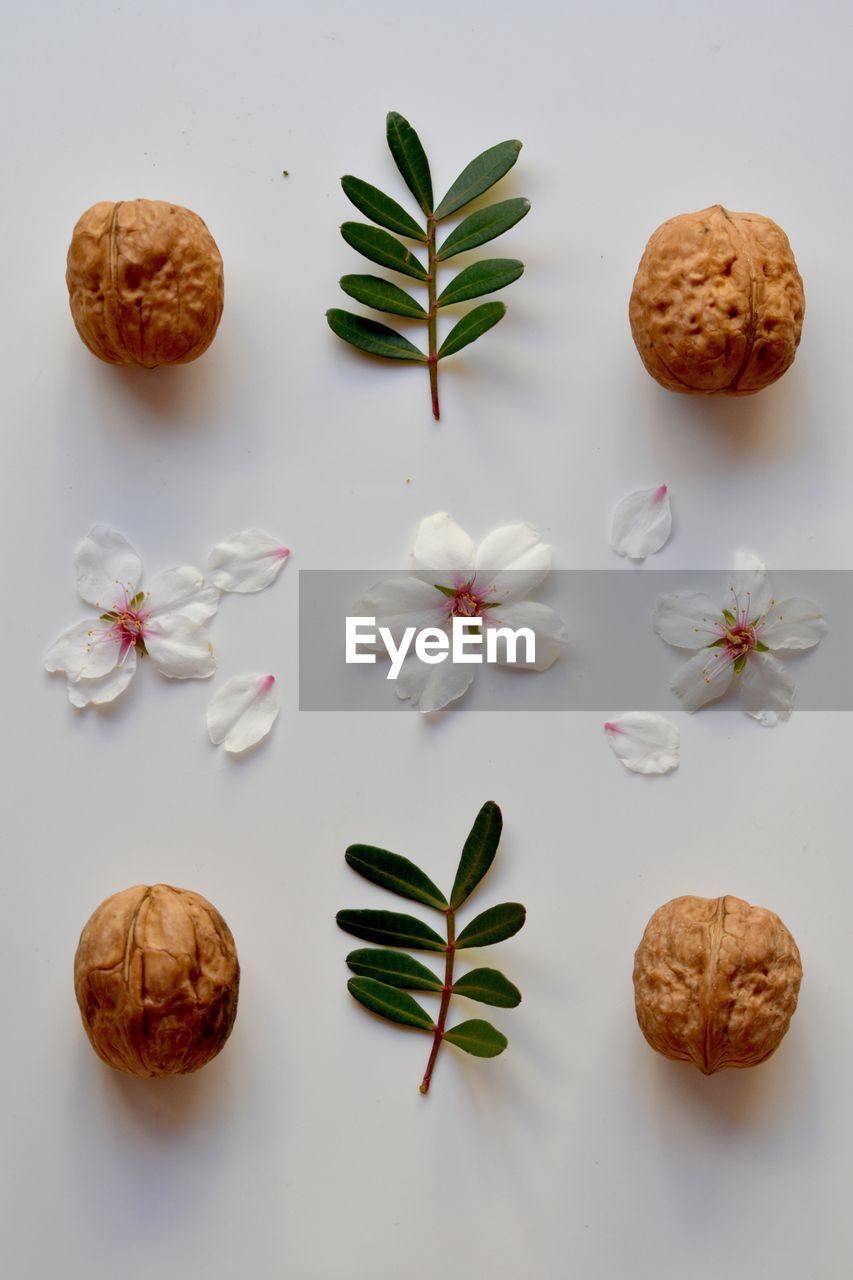 HIGH ANGLE VIEW OF FLOWERS ON TABLE