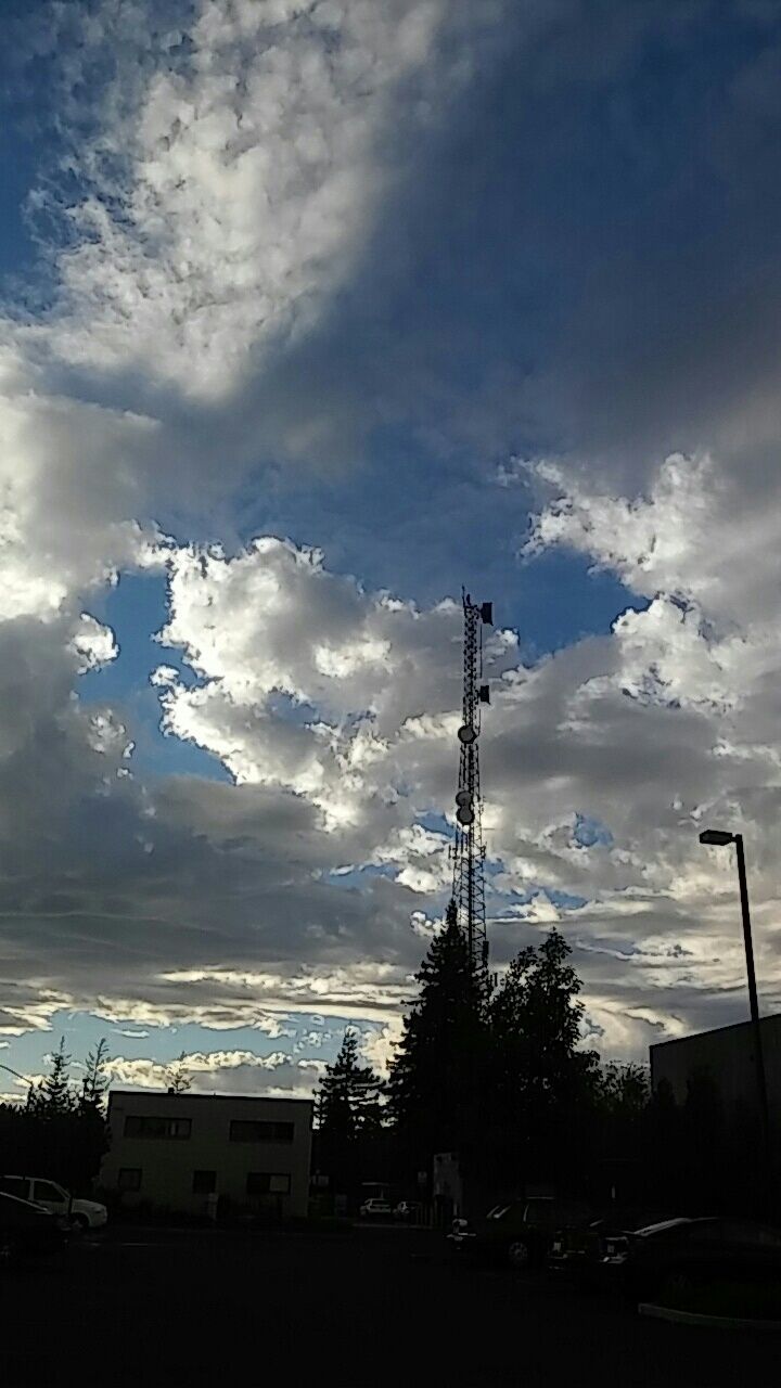 VIEW OF CLOUDY SKY OVER TREES