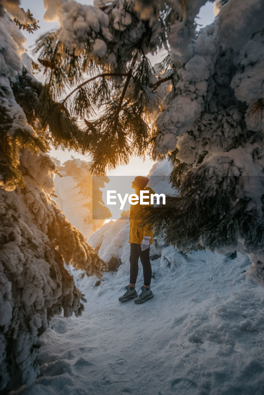 Rear view of man standing on snow covered land