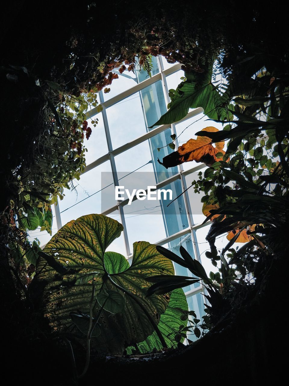 Low angle view of trees and building against sky