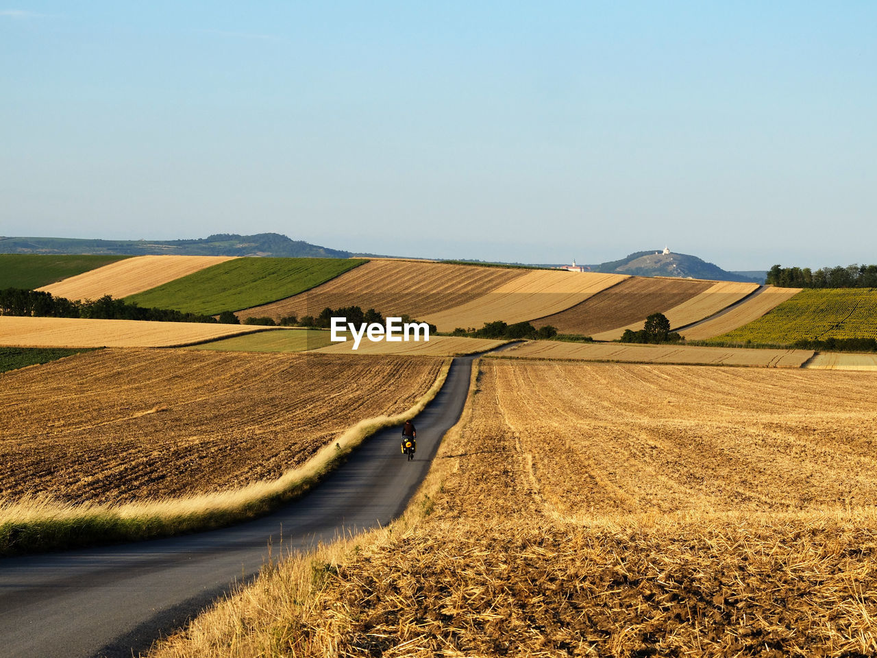 Scenic view of field against clear sky