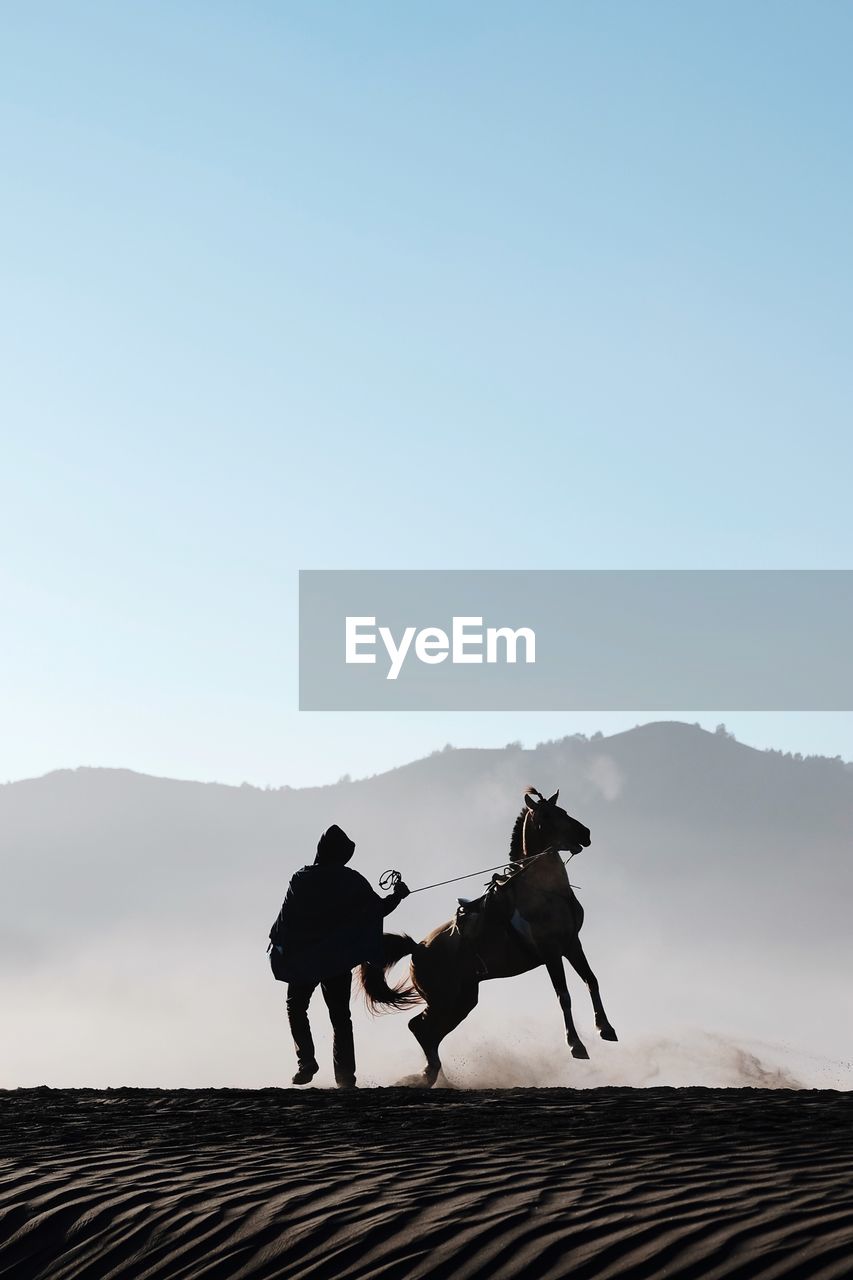 Silhouette man with horse at desert against clear sky