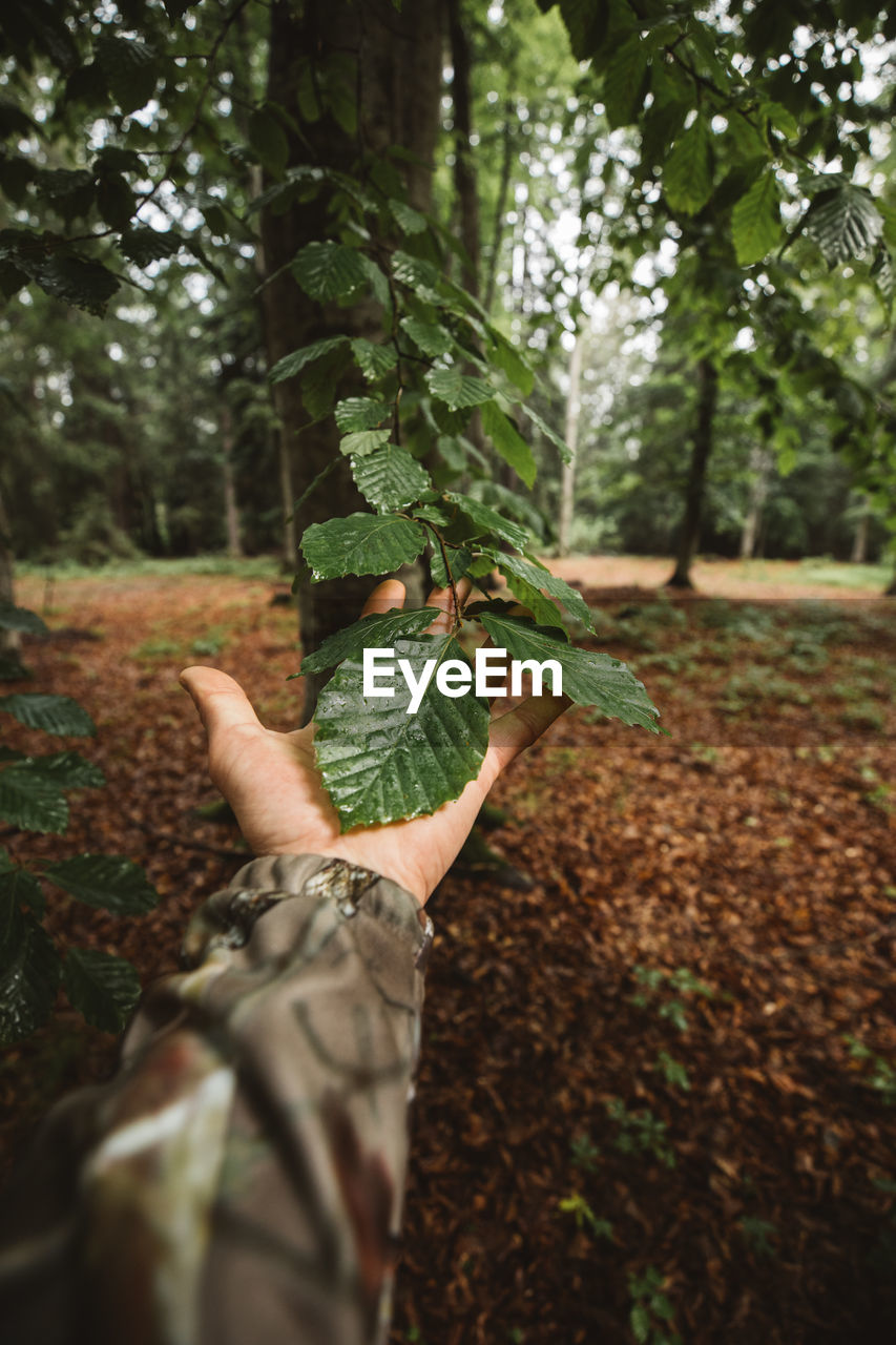 WOMAN HOLDING LEAVES OF TREE