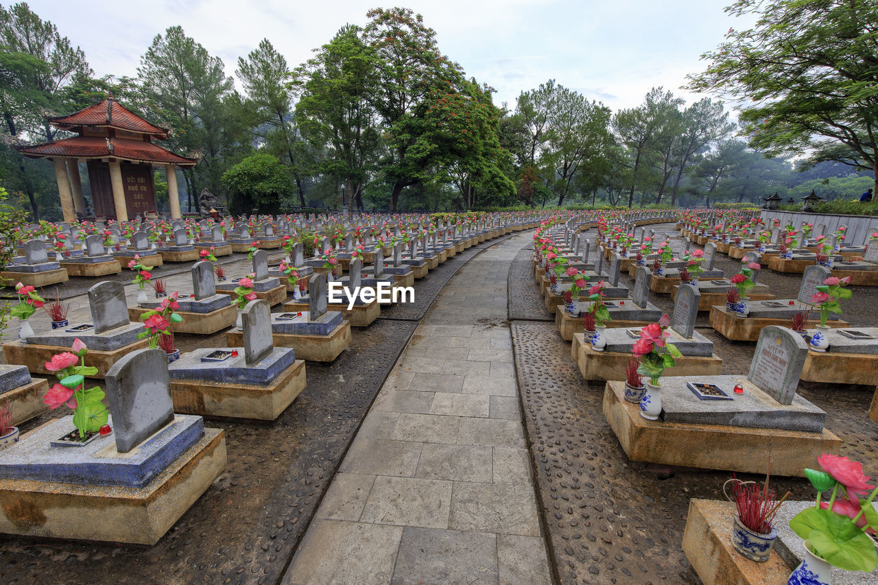 PANORAMIC VIEW OF CEMETERY