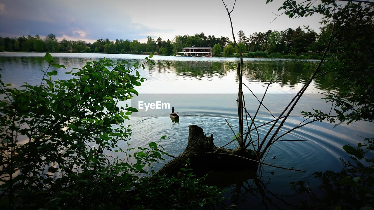 SCENIC VIEW OF LAKE