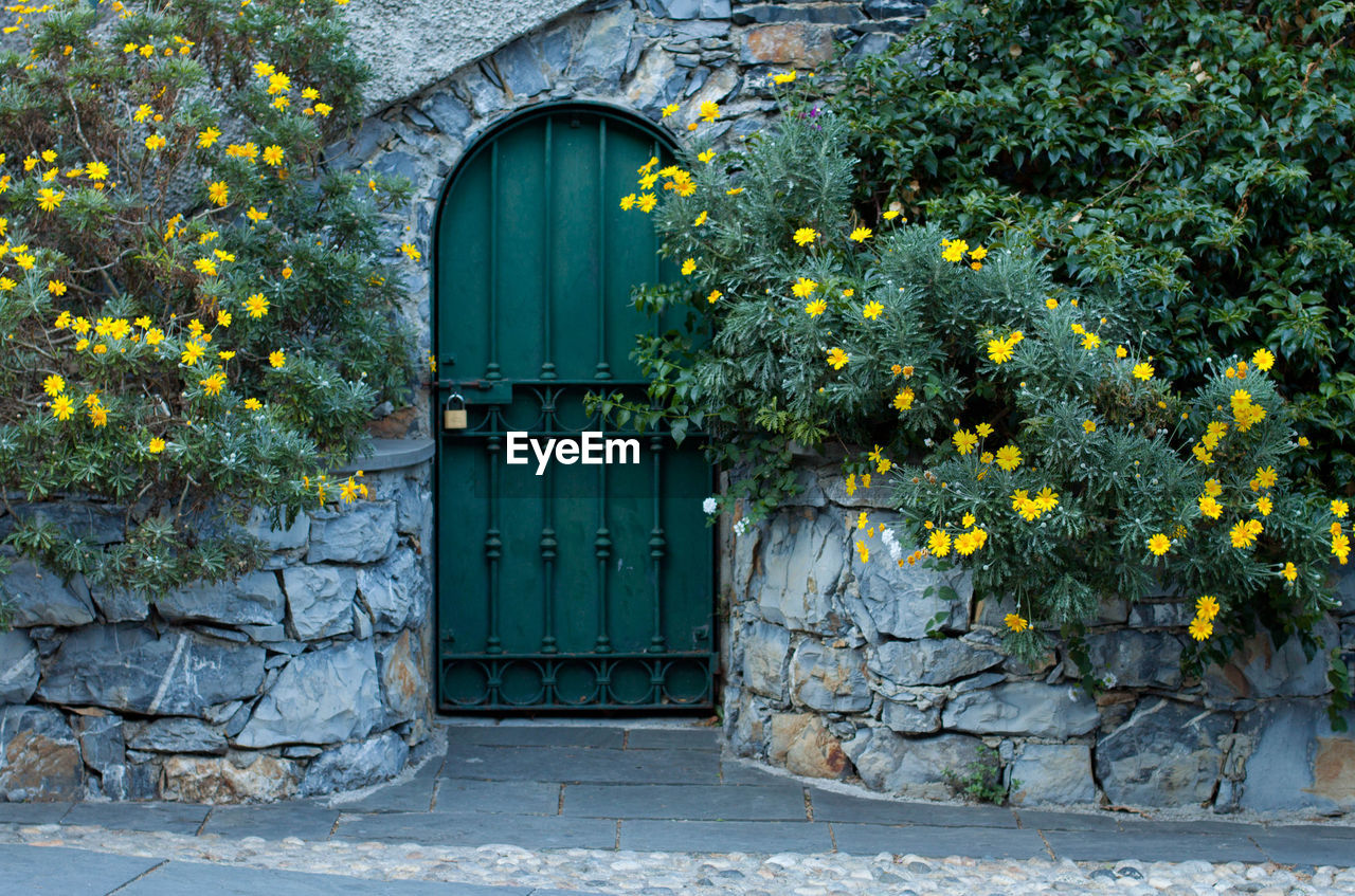 Closed door of house amidst plants