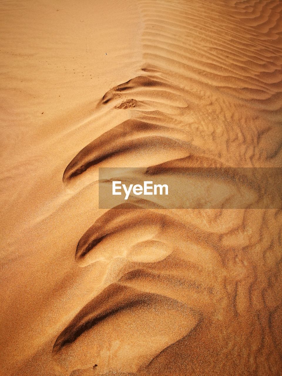 Full frame shot of sand dunes in desert