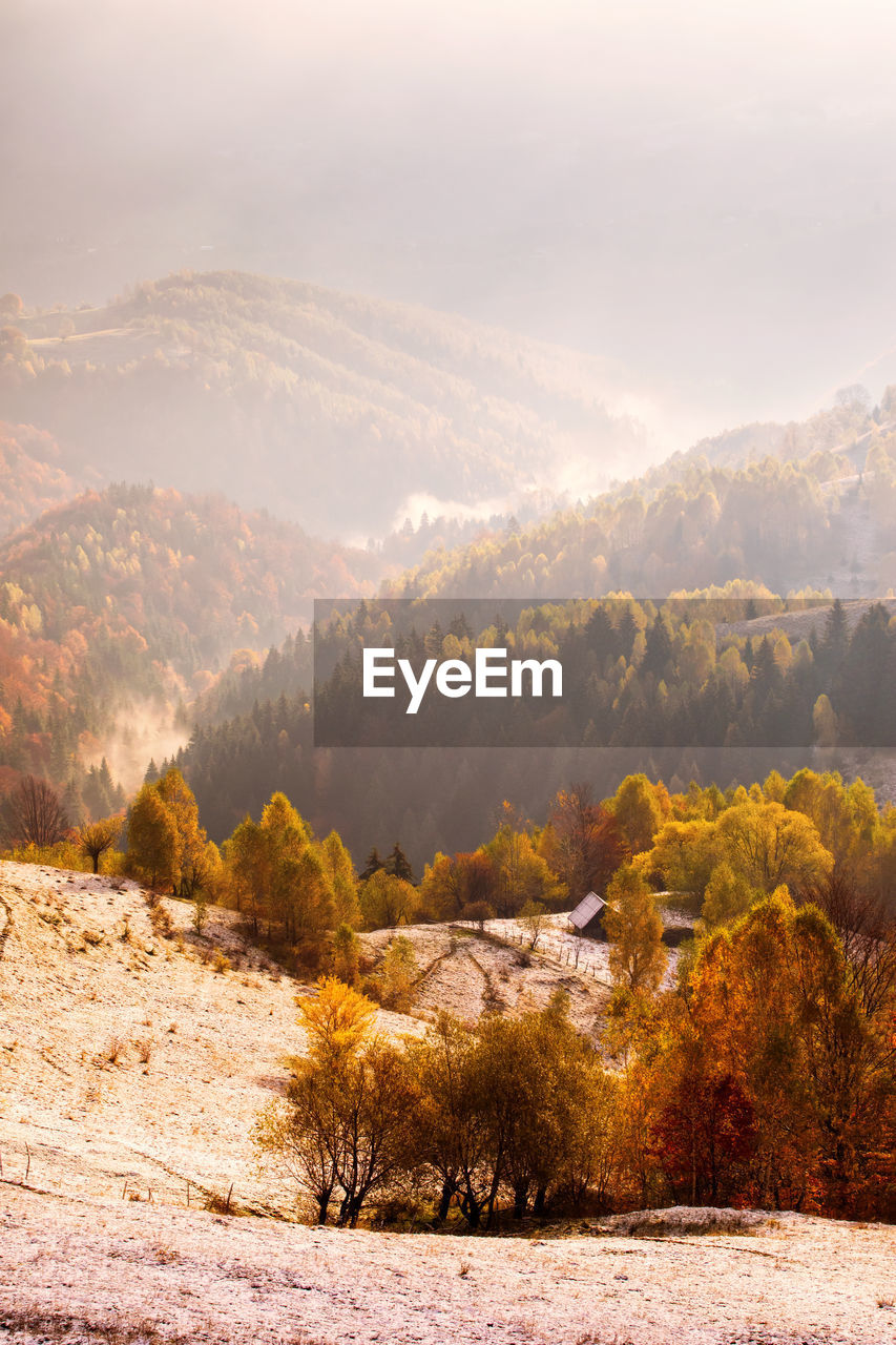 SCENIC VIEW OF TREES AND MOUNTAINS AGAINST SKY