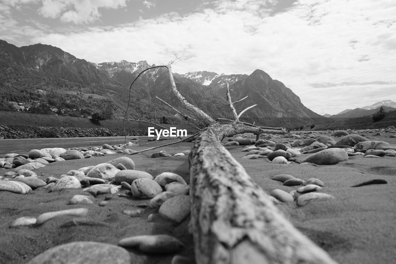 SURFACE LEVEL OF ROCKS ON SHORE