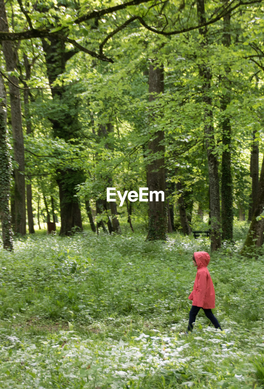 Little girl with a pink coat in the middle of a forest in spring